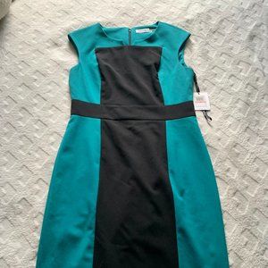 Calvin Klein Dress, Brand New!